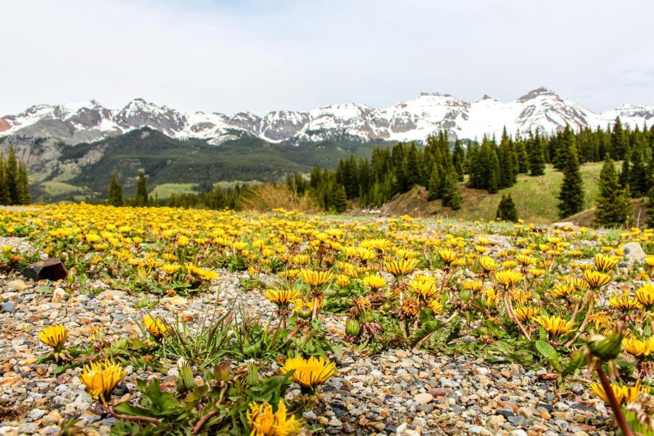 Telluride Town Jewelアパートメント エクステリア 写真